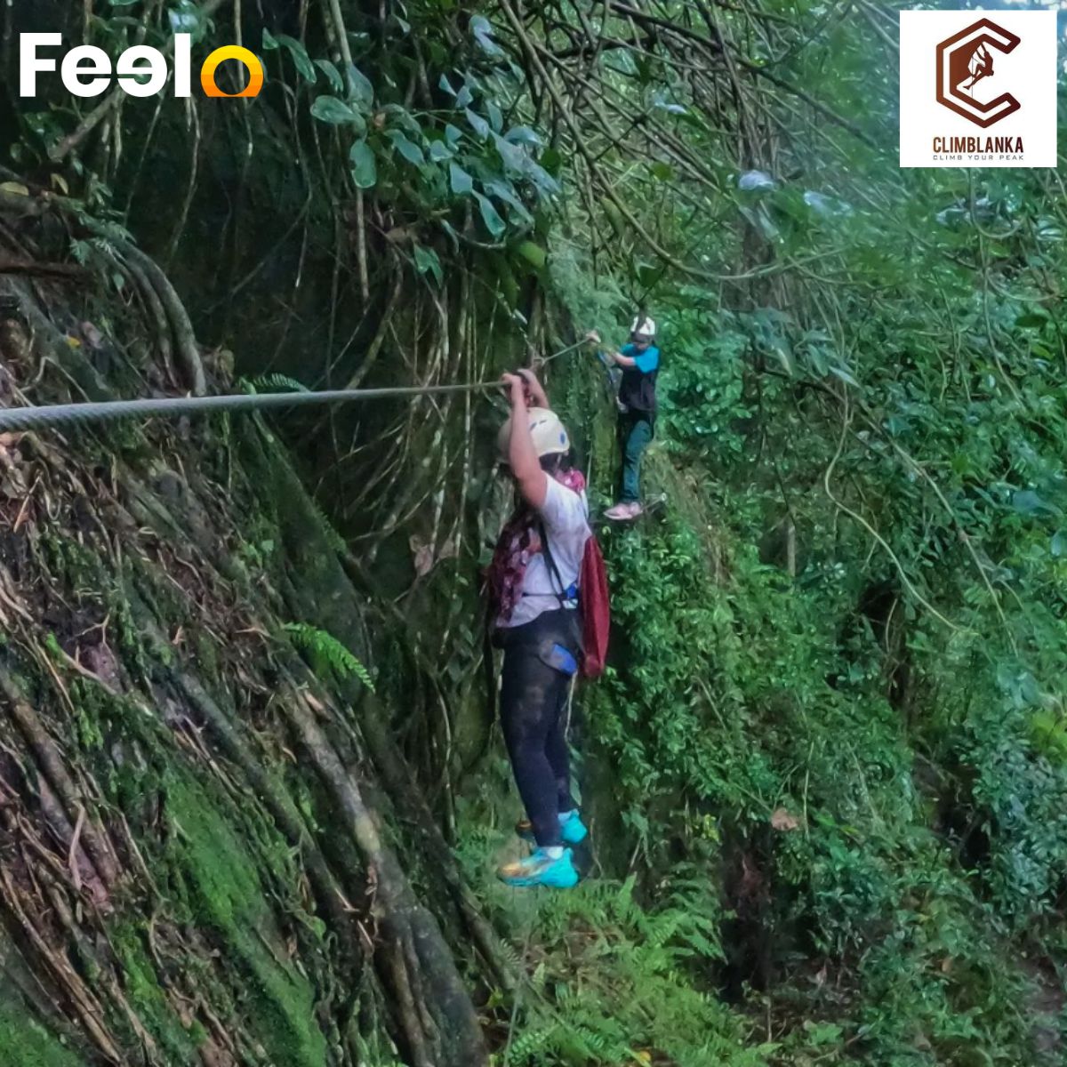 Viaferrata & Abseiling Adventure for 2 People at Kodigahakanda Sanctuary - CLIMBLANKA | Feelo